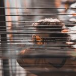 18265094188242673_turkiyeokculukfed